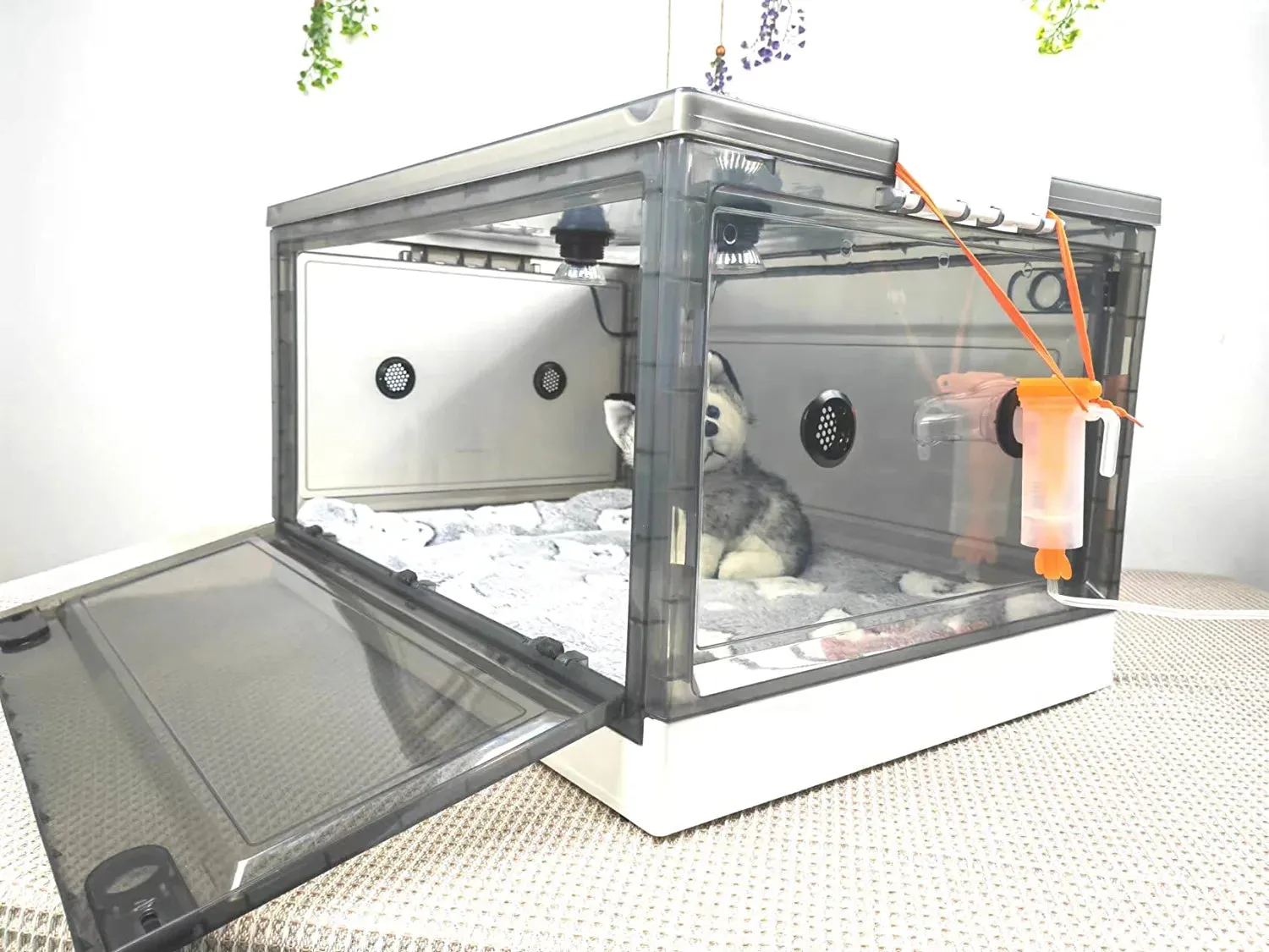 Incubator Nebulized Oxygen Intensive Care Unit Pet incubator With Nebulization Kit and Pet Heating Iamp I for Dogs and Cats