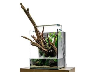 New UNS Foresta Integrated Paludarium 35E Glass Aquarium