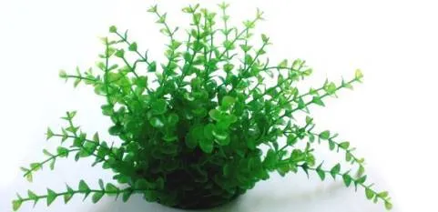 PLASTIC PLANT GREEN SMALL ROUND LEAFS 20cm