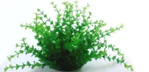 PLASTIC PLANT GREEN SMALL ROUND LEAFS 20cm