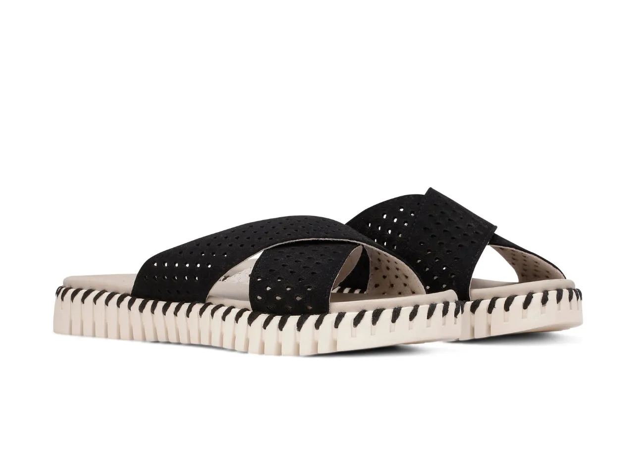 Tulip Criss Cross Sandal